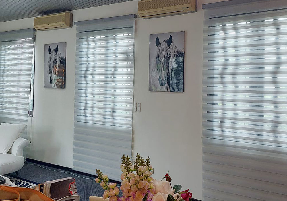 Korean Combi Blinds